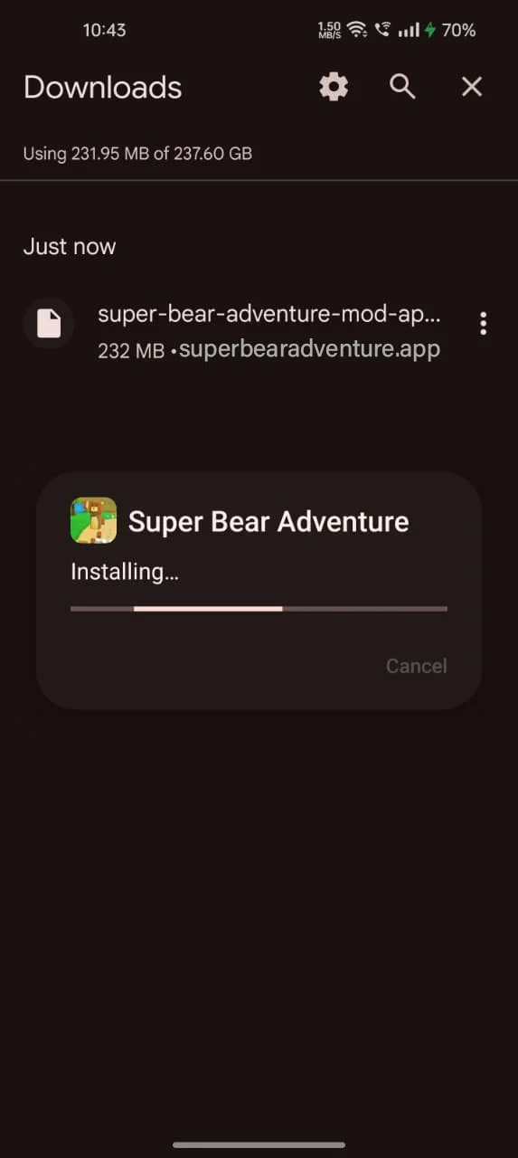 Wait for the installation to complete